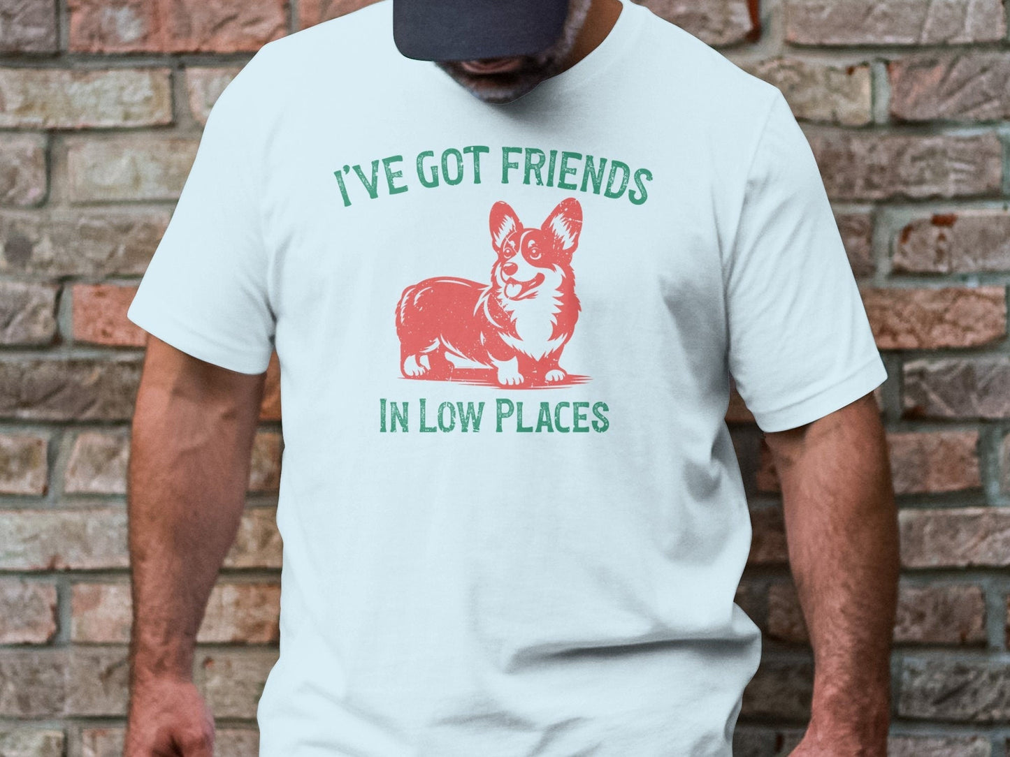 Friends In Low Places T-Shirt